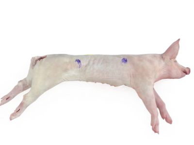 imagem de Leitão Inteiro